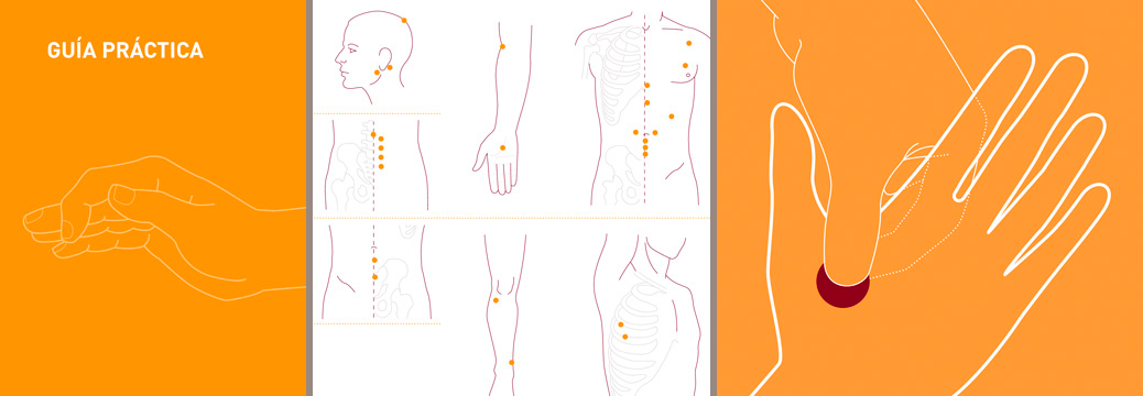 TECHNICAL ILLUSTRATIONS FOR MEDICAL BOOK<br/>MURYD GOGUD